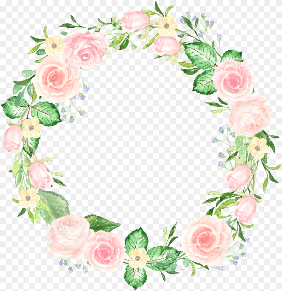 Garden Roses, Flower, Plant, Rose, Pattern Png Image