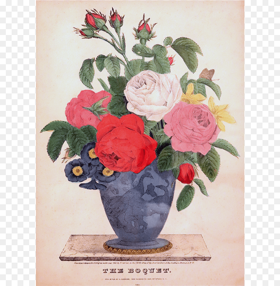 Garden Roses, Art, Plant, Painting, Rose Free Png
