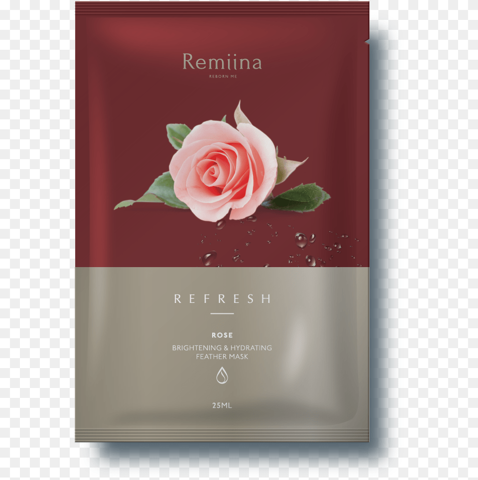Garden Roses, Flower, Plant, Rose, Advertisement Png Image