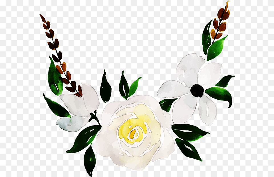 Garden Roses, Rose, Plant, Flower, Petal Png Image