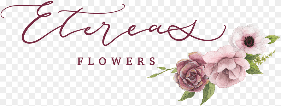 Garden Roses, Flower, Plant, Rose, Envelope Png Image