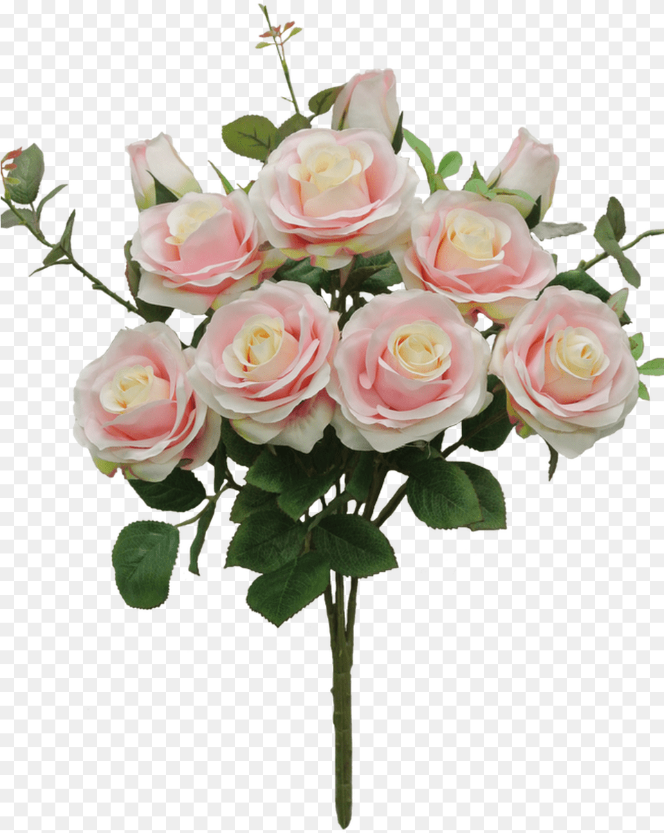 Garden Roses, Flower, Flower Arrangement, Flower Bouquet, Plant Free Png