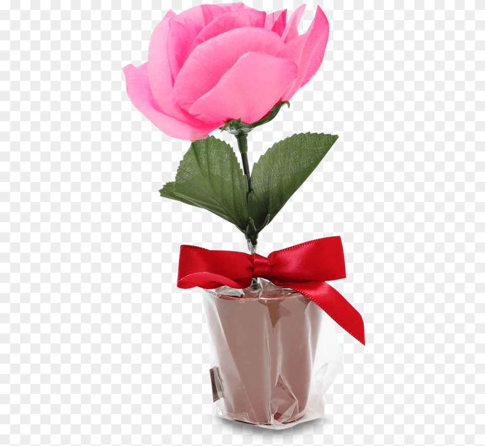 Garden Roses, Petal, Flower, Flower Arrangement, Flower Bouquet Png Image