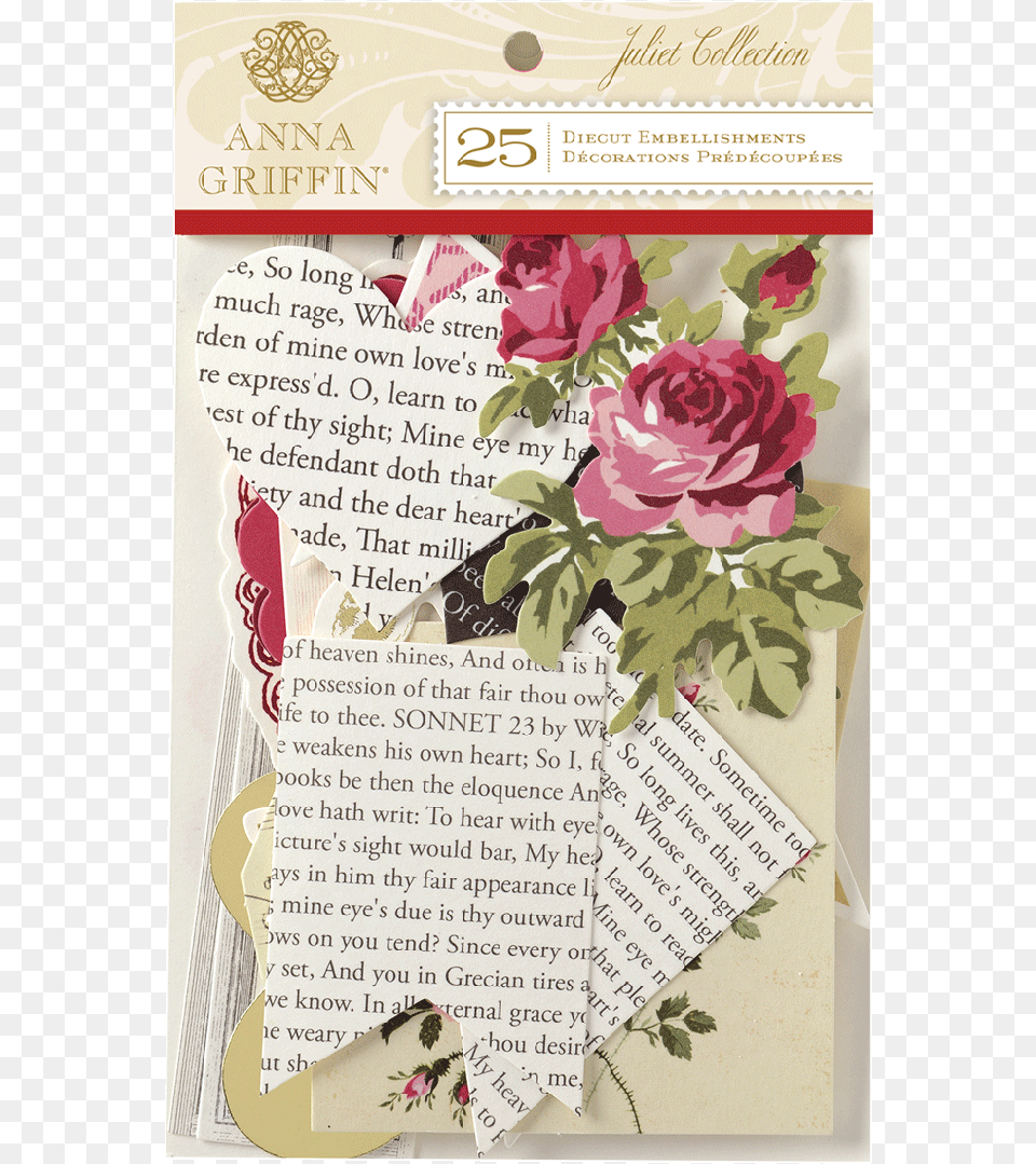 Garden Roses, Envelope, Flower, Greeting Card, Mail Free Png