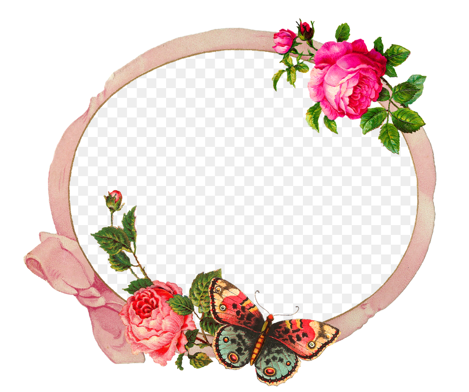 Garden Roses, Rose, Flower, Plant, Petal Free Png Download