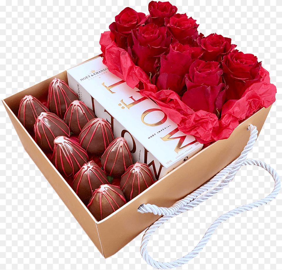 Garden Roses, Flower, Plant, Rose, Box Png