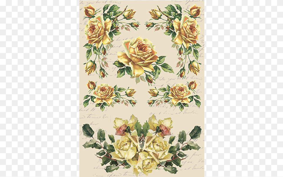 Garden Roses, Art, Floral Design, Graphics, Pattern Png Image