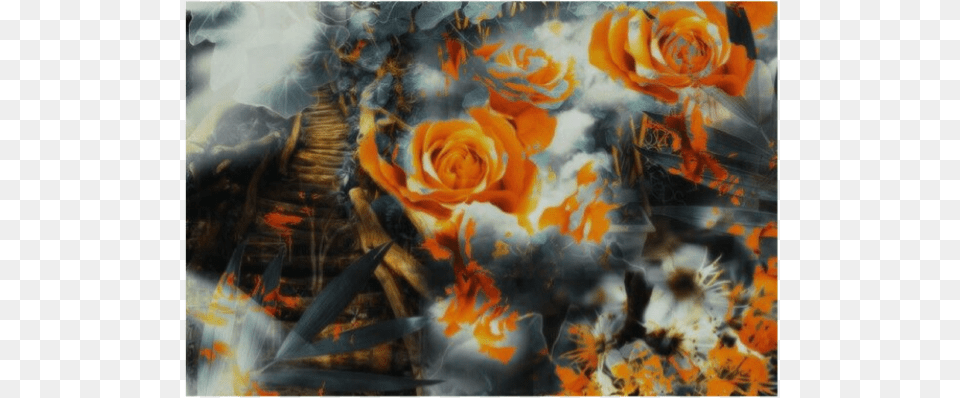 Garden Roses, Art, Painting, Modern Art, Flower Free Png Download