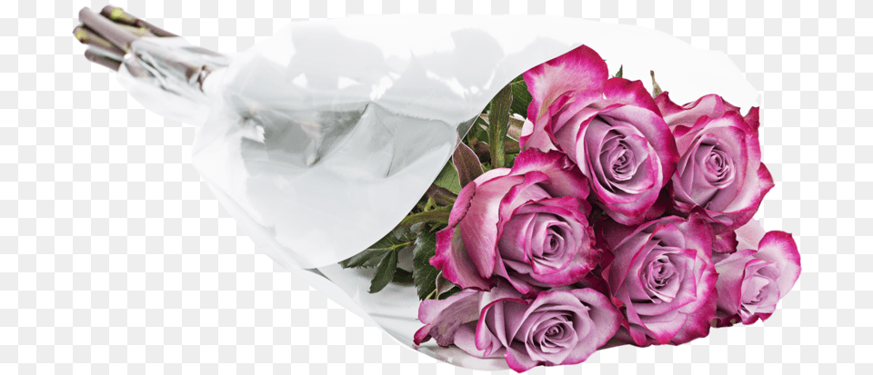 Garden Roses, Flower Bouquet, Bag, Flower, Flower Arrangement Png Image
