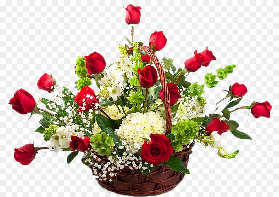 Garden Roses, Flower, Flower Arrangement, Flower Bouquet, Plant Png Image