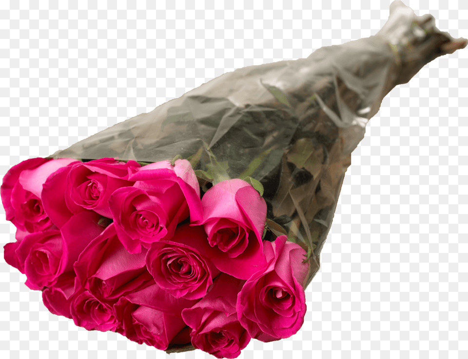 Garden Roses, Clothing, Flower, Flower Arrangement, Flower Bouquet Png