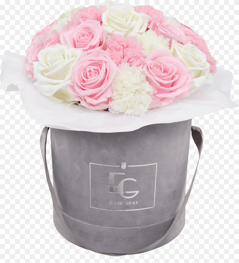 Garden Roses, Flower, Flower Arrangement, Flower Bouquet, Plant Png