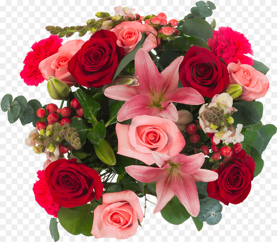 Garden Roses, Flower, Flower Arrangement, Flower Bouquet, Plant Png