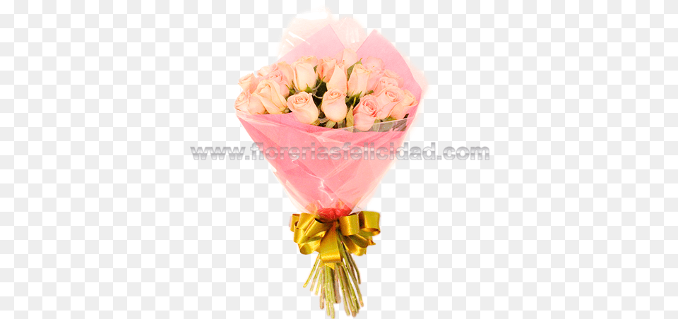 Garden Roses, Flower Bouquet, Plant, Flower, Flower Arrangement Png