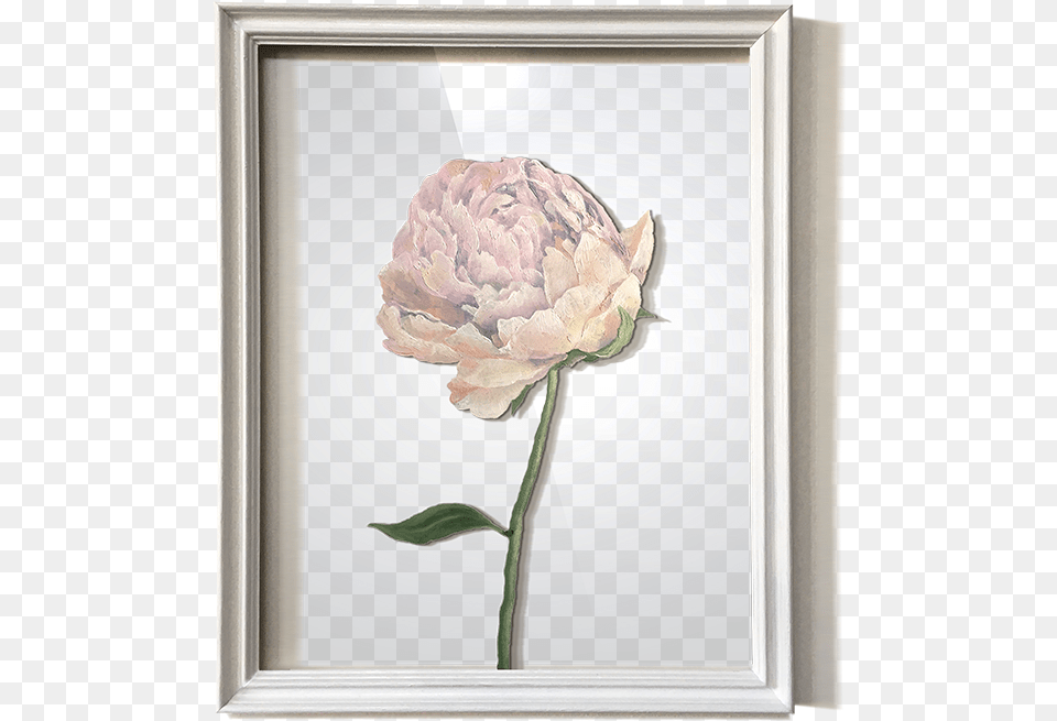 Garden Roses, Flower, Plant, Art, Painting Free Png Download