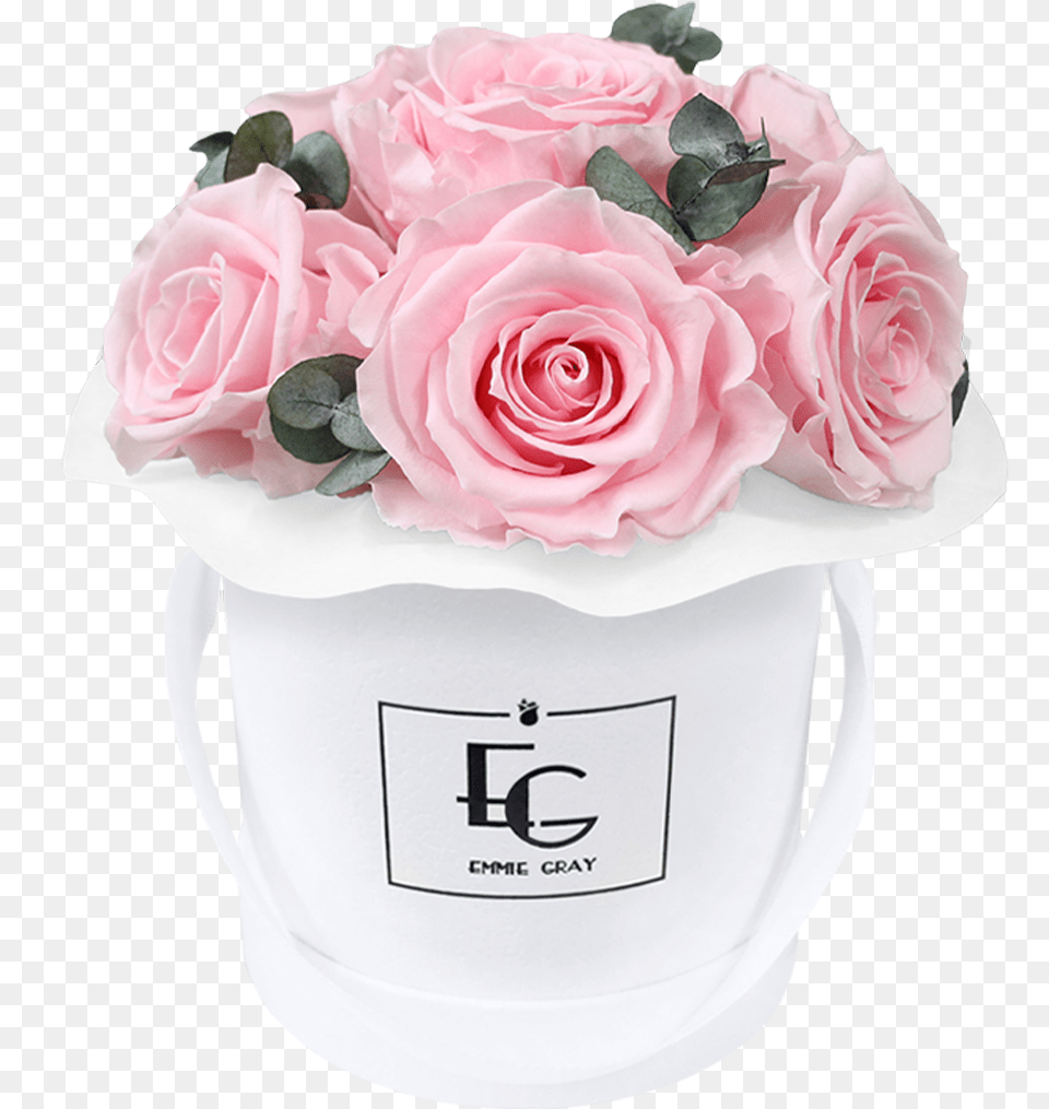 Garden Roses, Flower, Flower Arrangement, Flower Bouquet, Plant Free Png