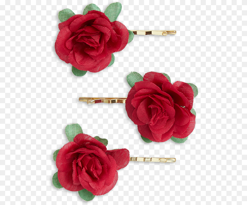 Garden Roses, Accessories, Hair Slide, Flower, Plant Png Image