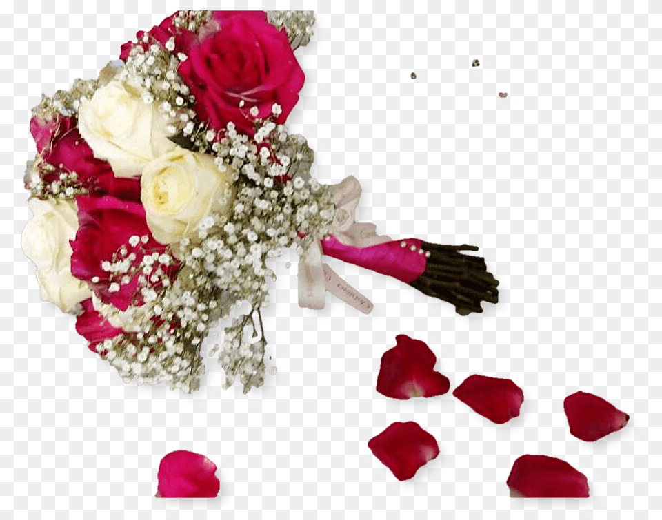 Garden Roses, Rose, Plant, Flower, Flower Arrangement Png Image