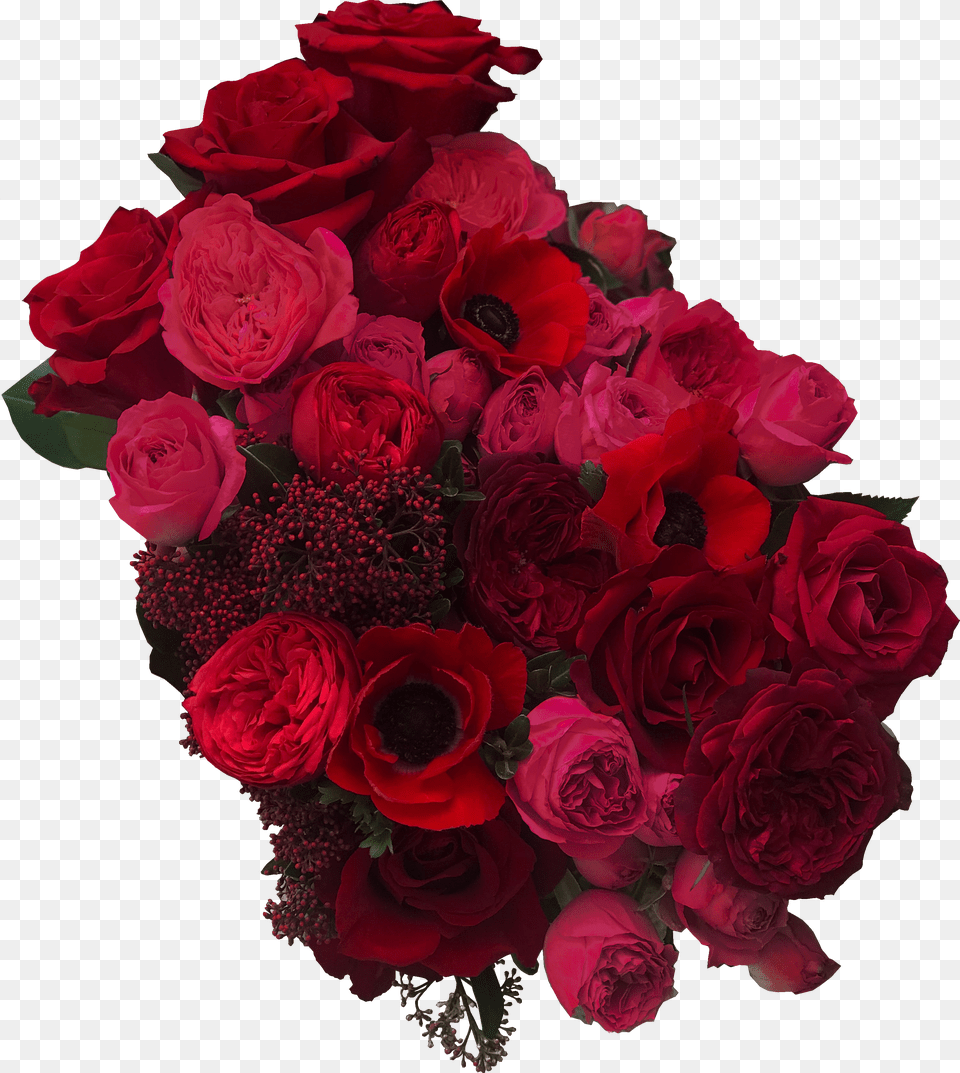 Garden Roses Png