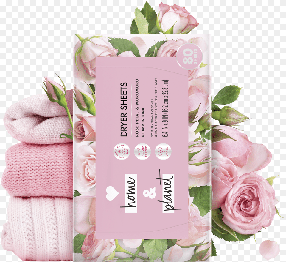 Garden Roses, Flower, Plant, Rose Free Png