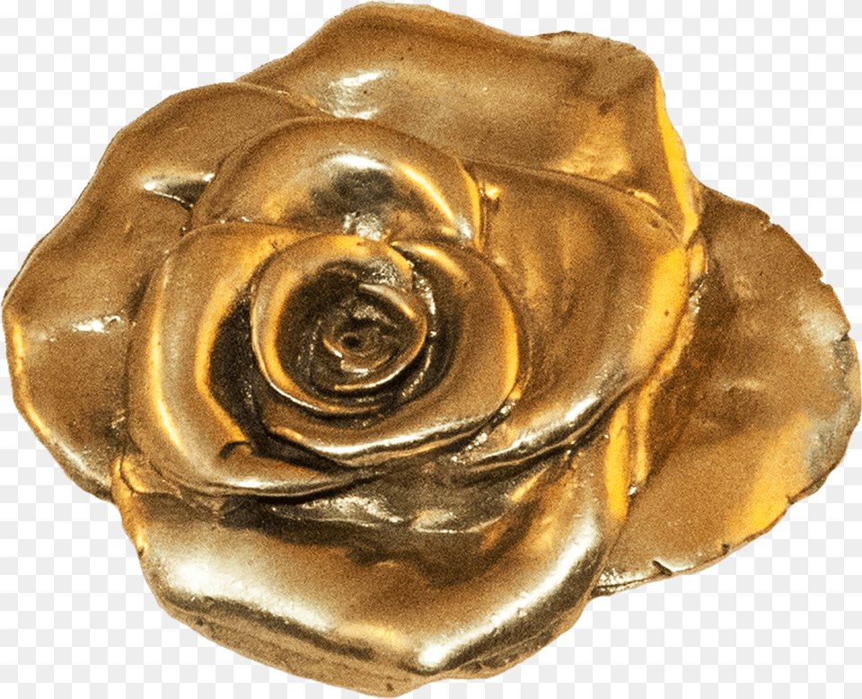 Garden Roses, Accessories, Gold, Jewelry, Gemstone Free Png