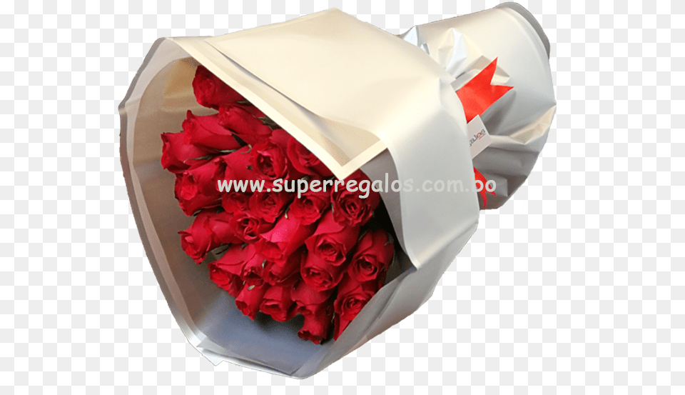 Garden Roses, Flower, Flower Arrangement, Flower Bouquet, Plant Png Image