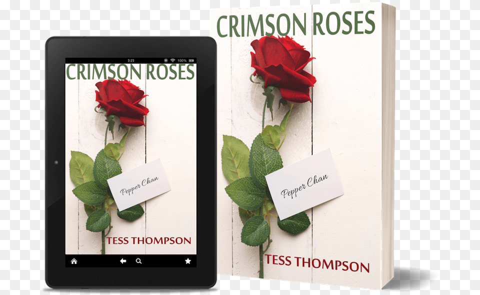 Garden Roses, Flower, Plant, Rose, Computer Free Transparent Png