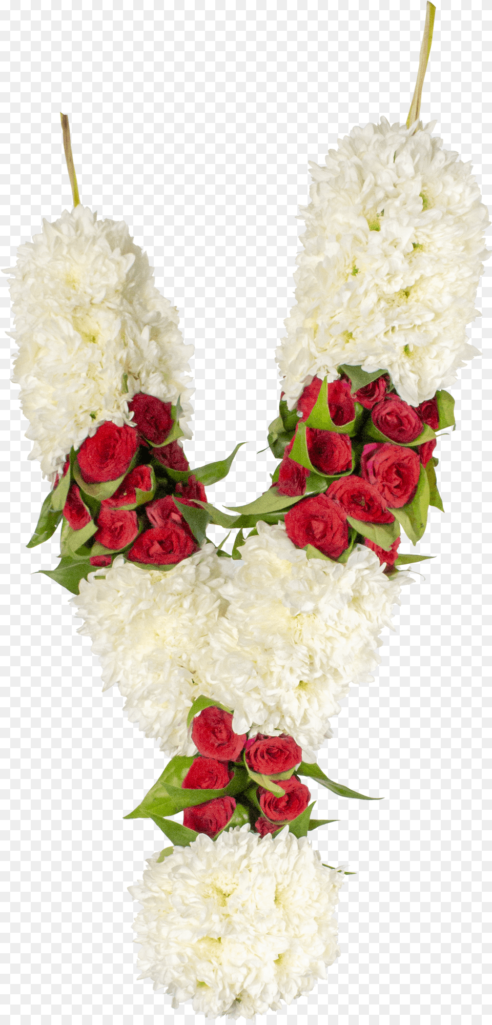 Garden Roses Png Image