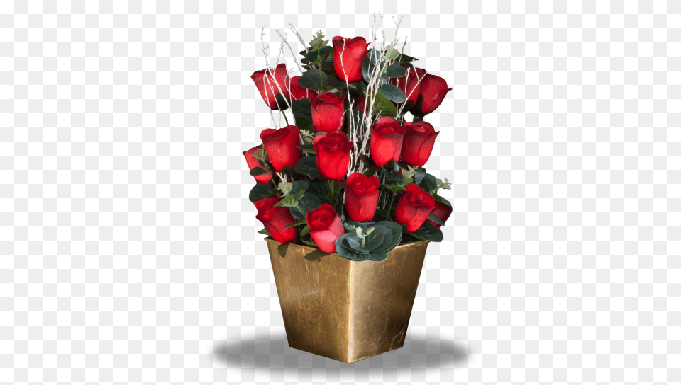 Garden Roses, Flower, Flower Arrangement, Flower Bouquet, Plant Png