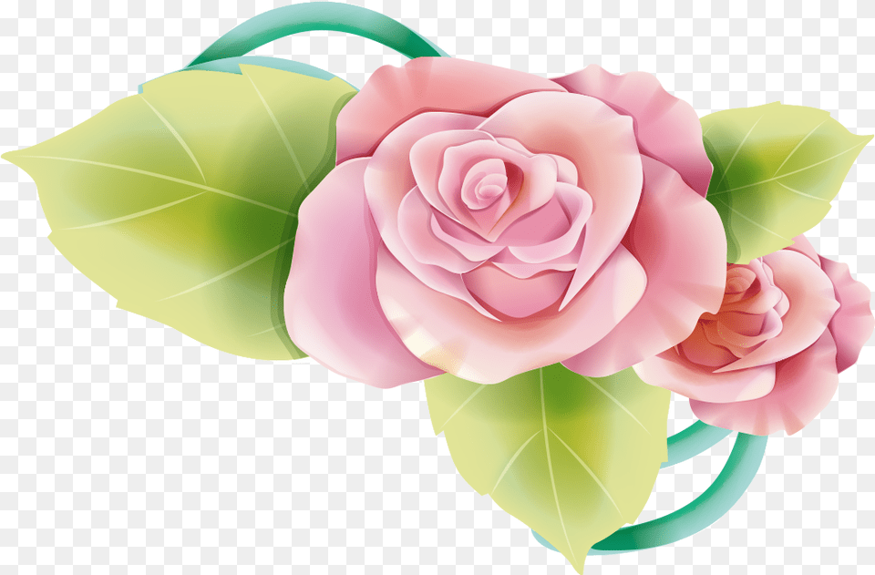 Garden Roses, Flower, Flower Arrangement, Flower Bouquet, Plant Free Transparent Png