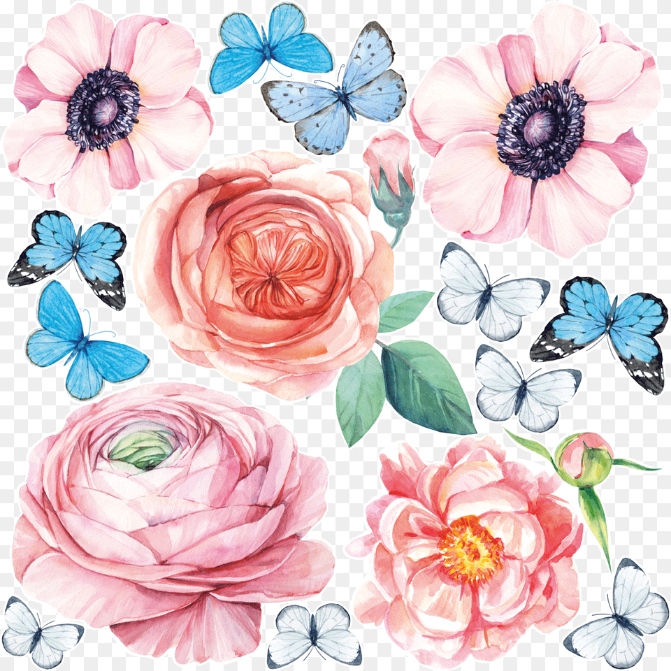 Garden Roses, Anemone, Flower, Plant, Rose Free Png Download