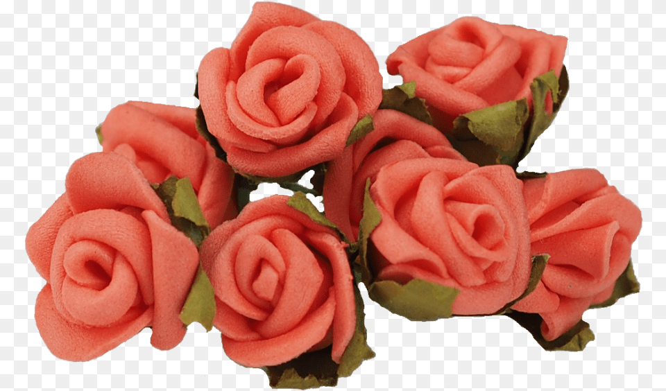 Garden Roses, Flower, Plant, Rose, Flower Arrangement Free Png Download