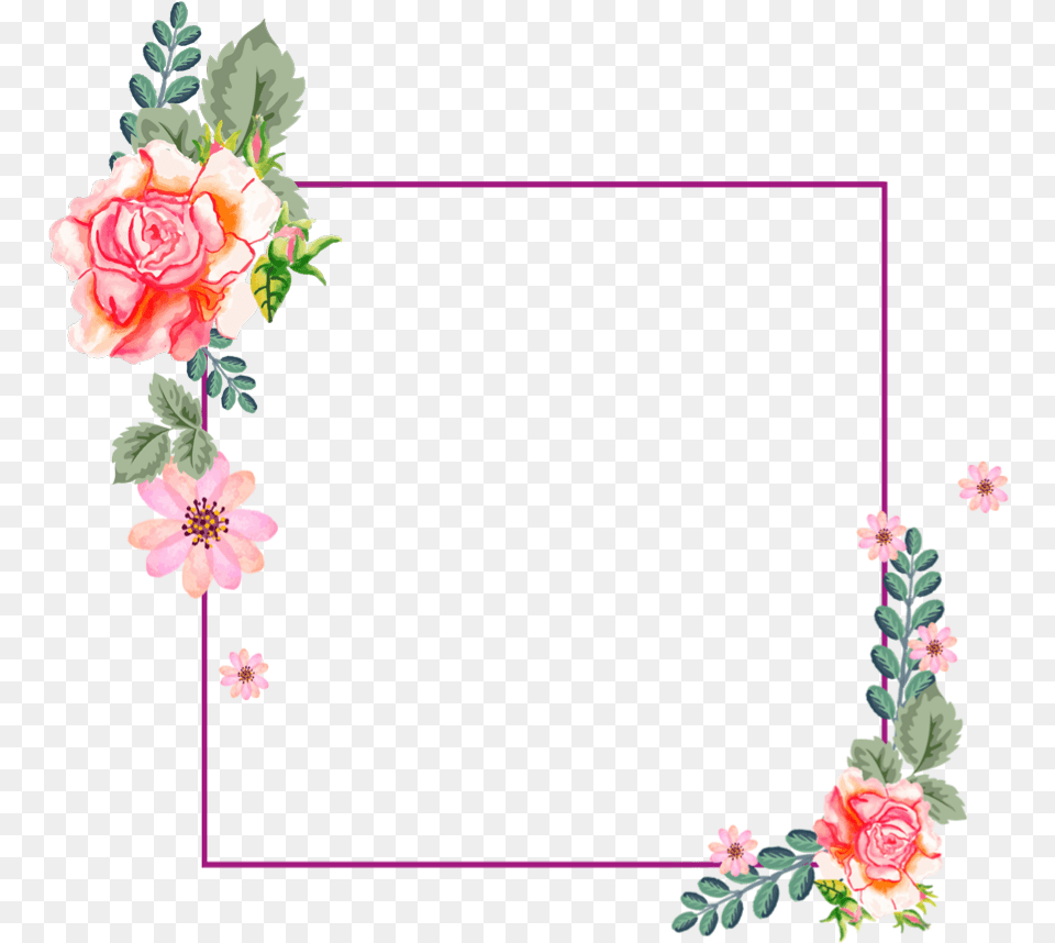 Garden Roses, Flower, Pattern, Plant, Rose Png
