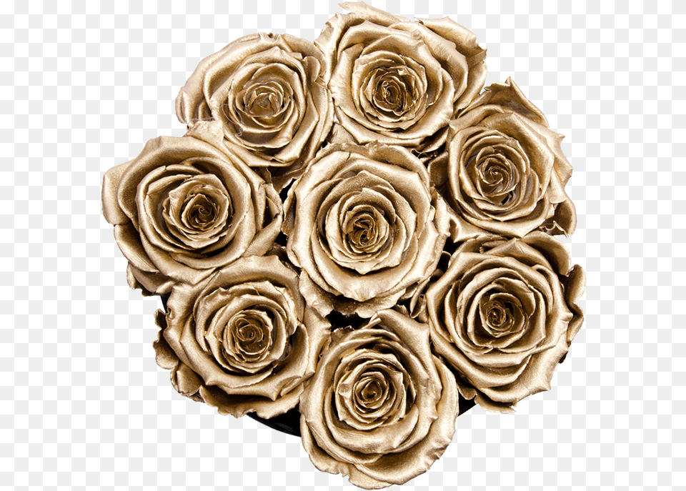 Garden Roses, Flower, Flower Arrangement, Flower Bouquet, Plant Png Image