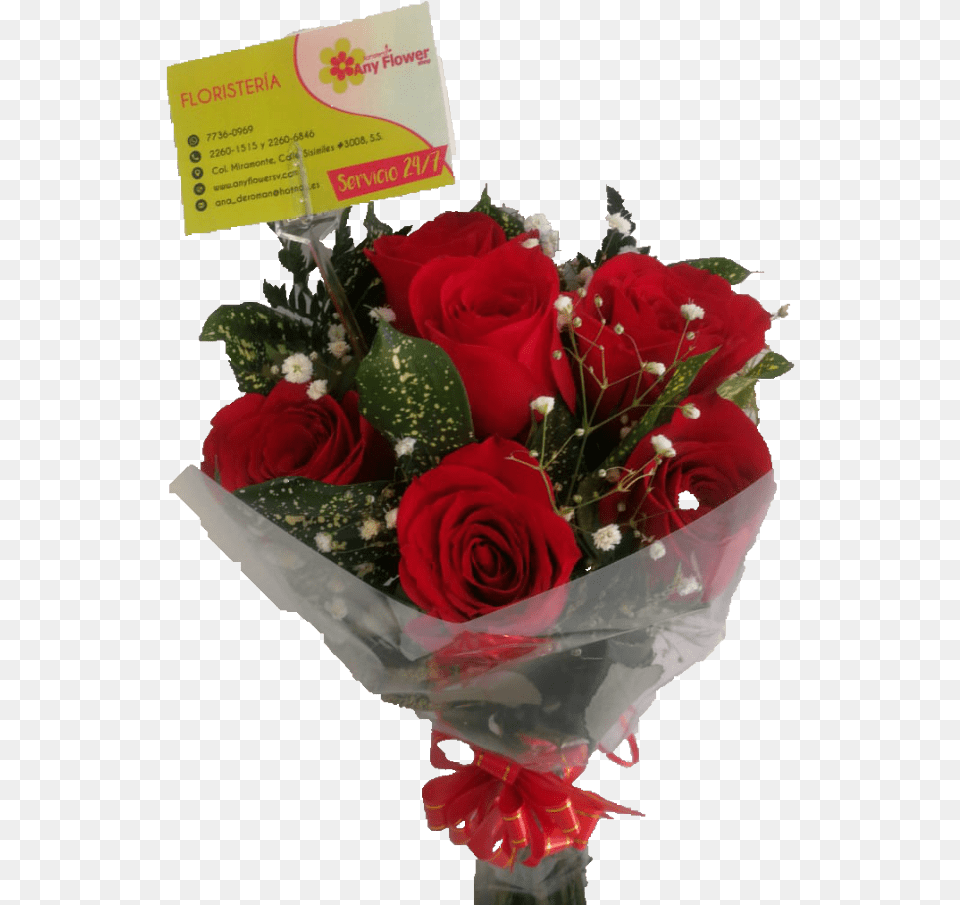 Garden Roses, Flower, Flower Arrangement, Flower Bouquet, Plant Png