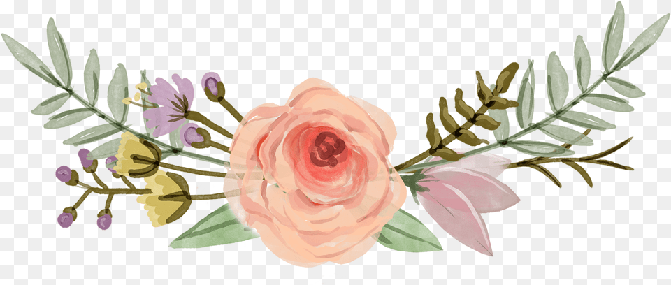 Garden Roses, Art, Flower, Graphics, Plant Free Png