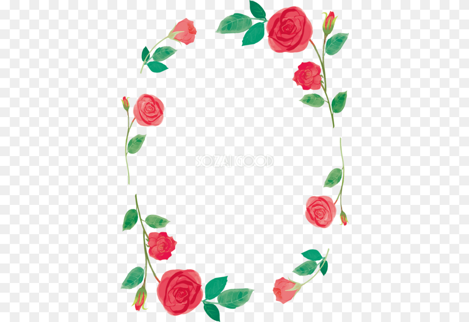 Garden Roses, Flower, Plant, Rose, Art Free Transparent Png