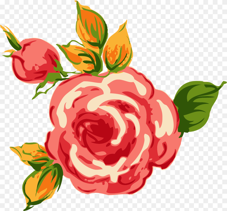 Garden Roses, Rose, Plant, Flower, Pattern Free Png