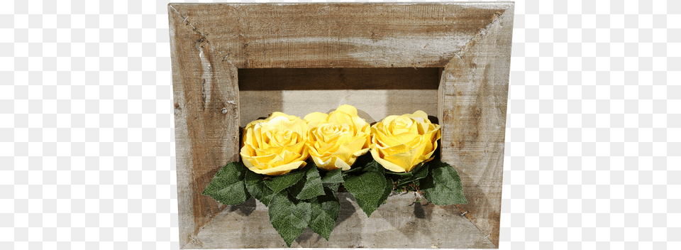 Garden Roses, Flower, Flower Arrangement, Flower Bouquet, Plant Png Image
