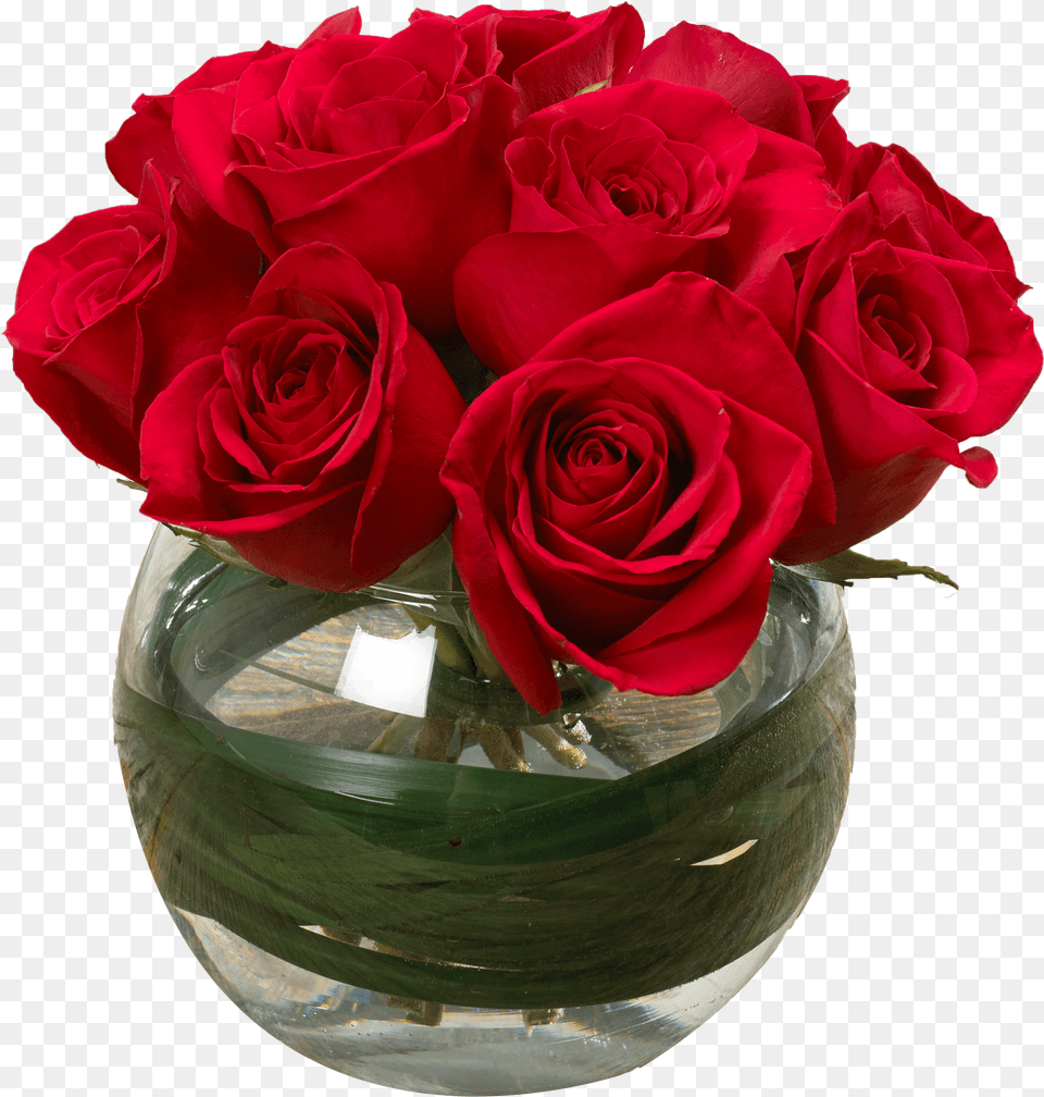 Garden Roses, Flower, Flower Arrangement, Flower Bouquet, Plant Free Png