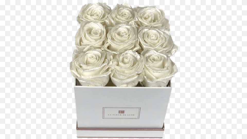 Garden Roses, Birthday Cake, Plant, Food, Flower Bouquet Png