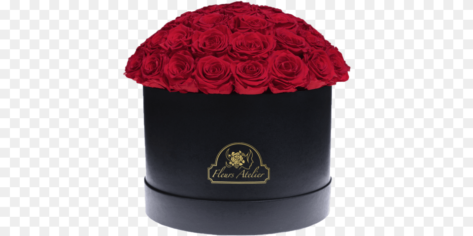 Garden Roses, Birthday Cake, Plant, Food, Flower Bouquet Png Image