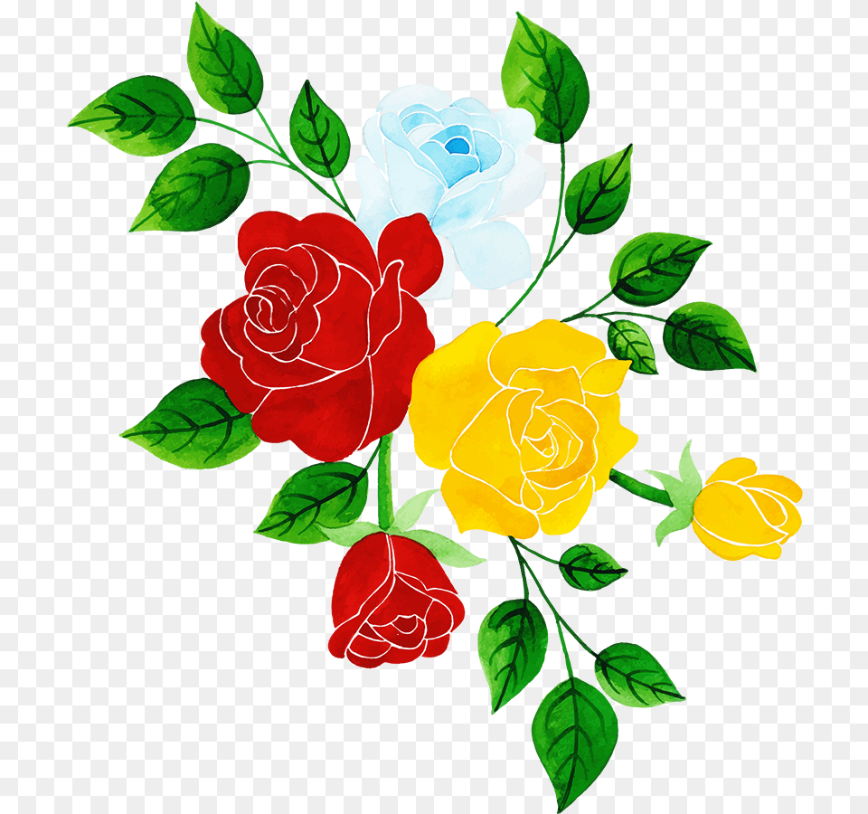 Garden Roses, Flower, Plant, Rose, Pattern Free Transparent Png