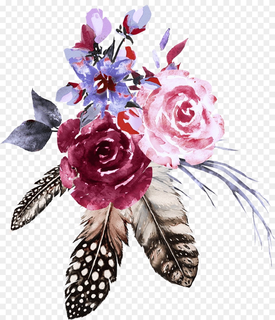 Garden Roses, Knight, Person Png Image