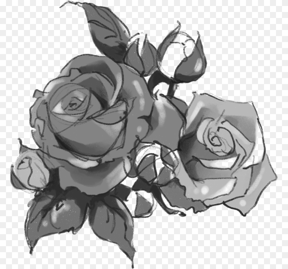 Garden Roses, Art, Flower, Plant, Rose Free Transparent Png