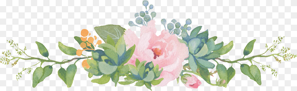 Garden Roses, Flower, Plant, Art, Floral Design Png Image