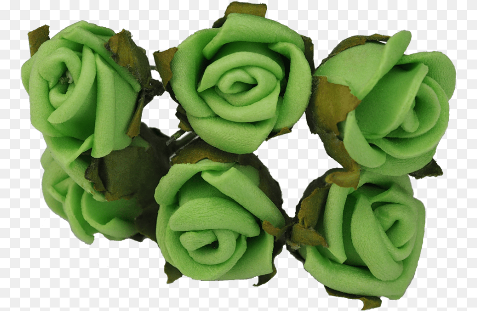 Garden Roses, Accessories, Flower, Gemstone, Jade Png