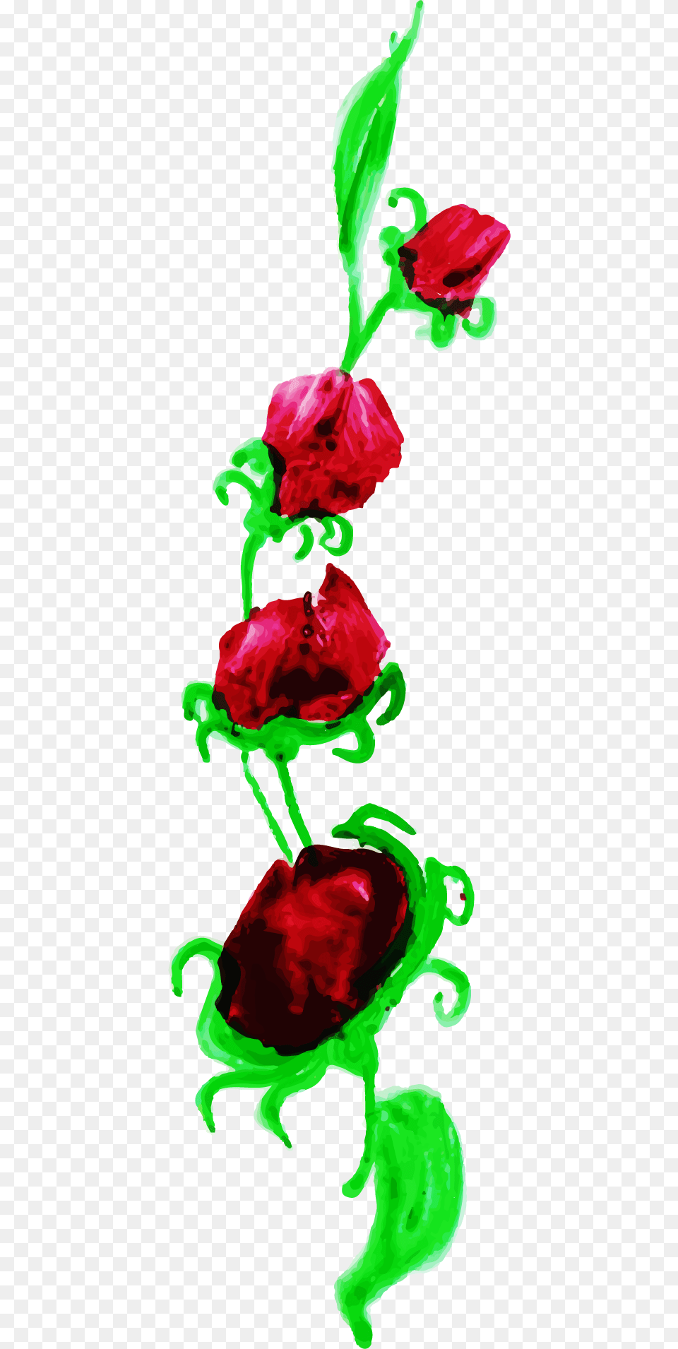 Garden Roses, Art, Flower, Graphics, Petal Png