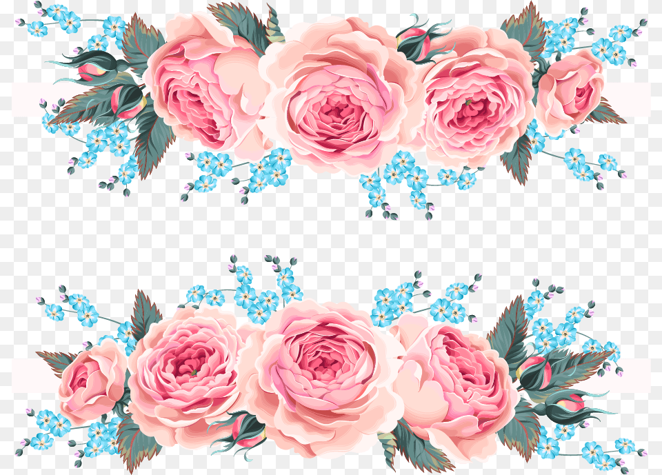 Garden Roses Beach Rose Flower Pink Pink Flowers For Invitation, Art, Graphics, Pattern, Plant Free Png