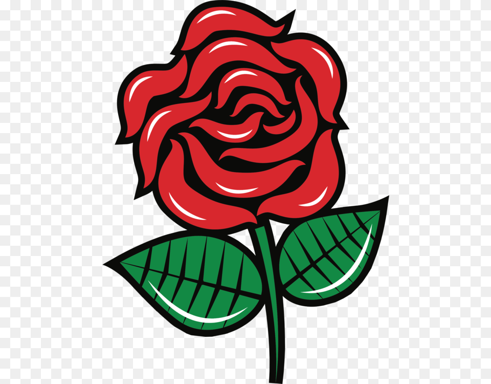 Garden Roses Black Rose Download, Flower, Plant, Leaf, Dynamite Free Transparent Png